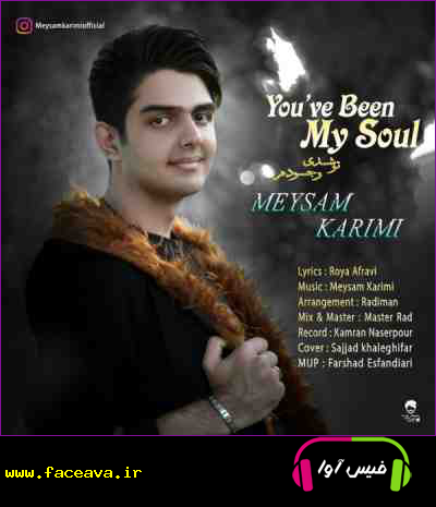 دانلود آهنگ میثم کریمی تو شدی وجودم