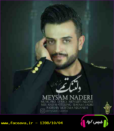 دانلود آهنگ میثم نادری دلتنگنم