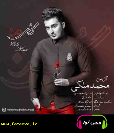 دانلود آهنگ محمد ملکی گل من