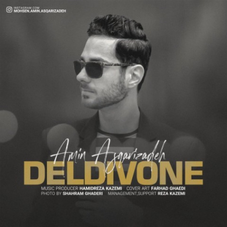 دانلود آهنگ جدید امین اصغری زاده دل دیونه