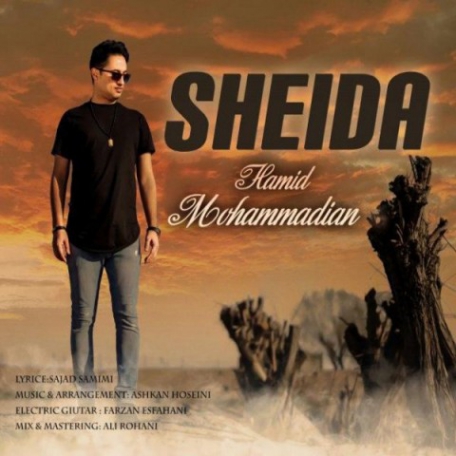 دانلود آهنگ جدید حمید محمدیان شیدا