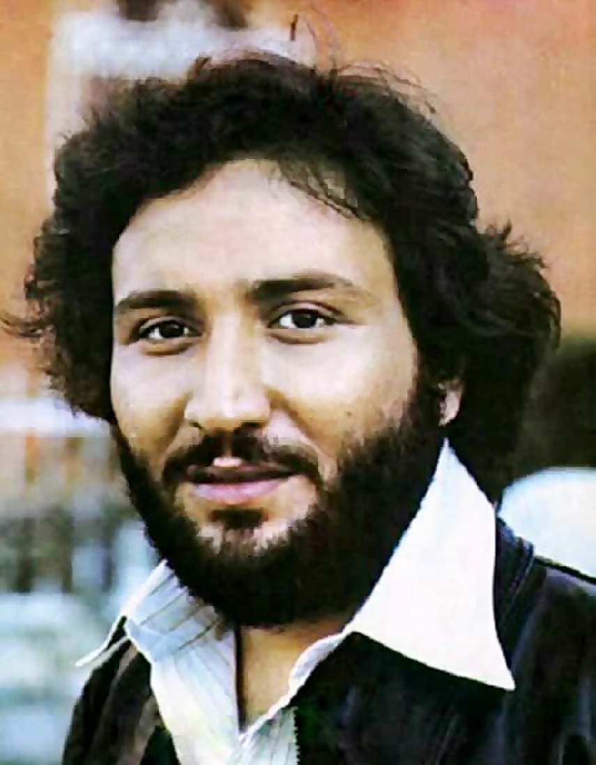 مارتیک بر بام دگر