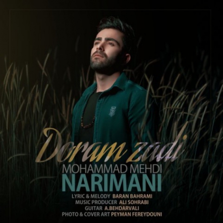 دانلود آهنگ جدید محمد مهدی نریمانی دورم زدی