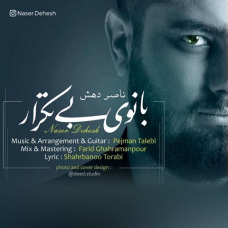 دانلود آهنگ جدید ناصر دهش بانوی بی تکرار