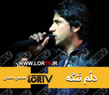 دلم تنگه محسن احمدی
