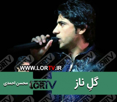 گل ناز محسن احمدی