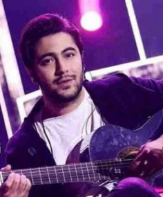 دانلود آهنگ شاد محمدرضا زارعی دلبر افسانه متن موزیک و کیفیت 320 و 128