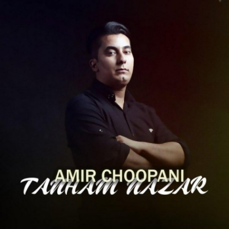 دانلود آهنگ جدید امیر چوپانی تنهام نذار