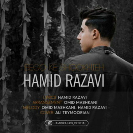 دانلود آهنگ جدید حمید رضوی بگو که شوخیه