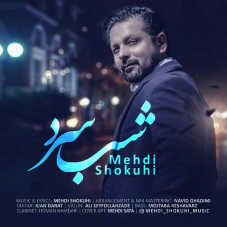 دانلود آهنگ جدید مهدی شکوهی شب سرد