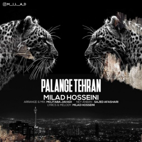 دانلود ریمیکس جدید میلاد حسینی پلنگ تهرون
