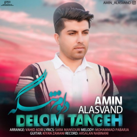 دانلود آهنگ جدید امین علاسوند دلوم تنگه