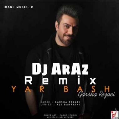 دانلود ریمیکس گرشا رضایی دل ندارم