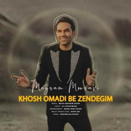 دانلود آهنگ میثم موسوی به نام خوش اومدی به زندگیم