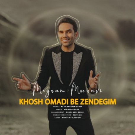 دانلود آهنگ جدید میثم موسوی خوش اومدی به زندگیم