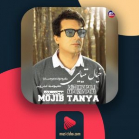 دانلود آهنگ موجیب تنیا به نام خیالی تنیایی