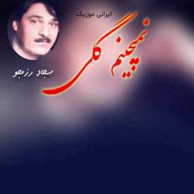 دانلود آهنگ نمیچینم گلی از سجاد رزمجو