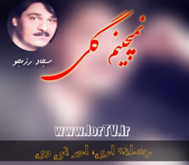 دانلود آهنگ لری نمیچینم گلی سجاد رزمجو