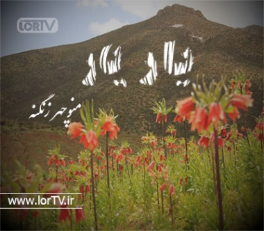 یار یار منوچهر زنگنه
