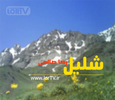 شلیل رضا صالحی