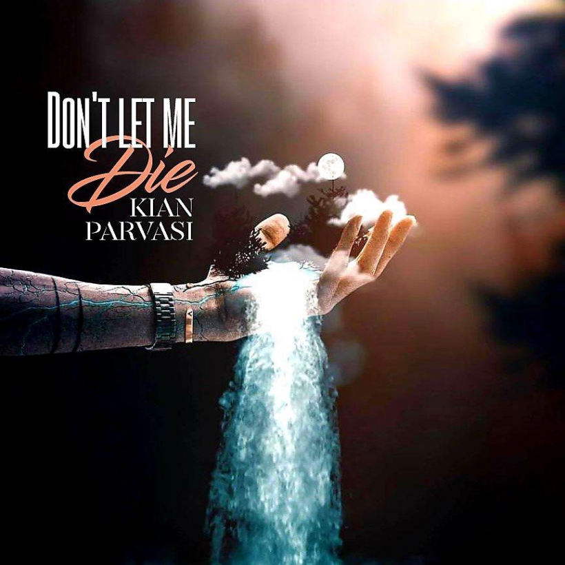 دانلود آهنگ کیان پرواسی به نام شقایق