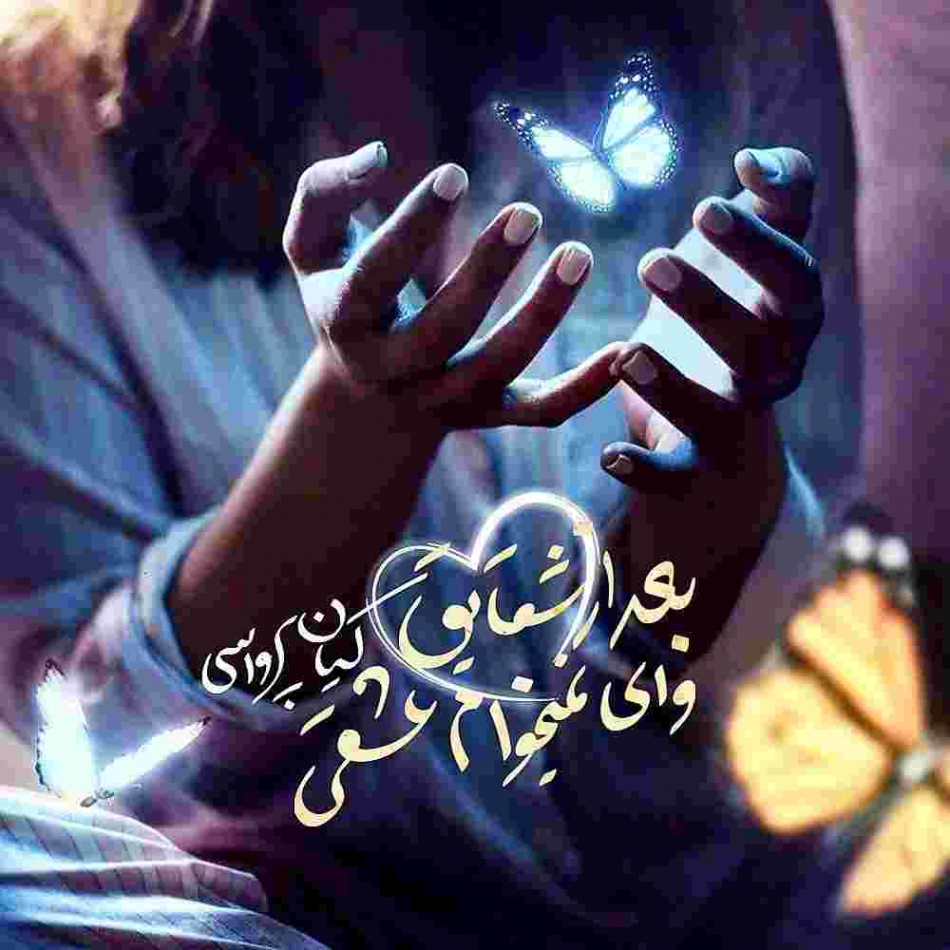 دانلود آهنگ کیان پرواسی به نام شقایق