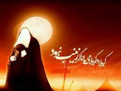 بهترین بنده ی خدا زینب هل اتی زینب انما زینب سید مجید بنی فاطمه