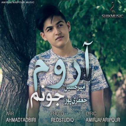 Amirhossein Jafari Aroome Joonam Cover Music fa.com دانلود آهنگ امیر حسین جعفری پور آروم جونم