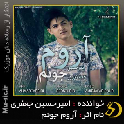 دانلود آهنگ امیر حسین جعفری پور آروم جونم