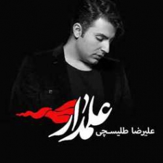 دانلود نوحه تا رسیدم به فرات علیرضا طلیسچی