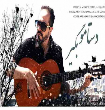 دانلود آهنگ سعید نبی زاده دوستت دارم
