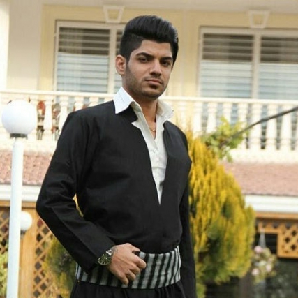 دانلود آهنگ کبوتر دل افتاده دامش مجتبی ترکاشوند