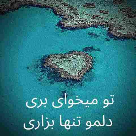 دانلود آهنگ تو میخوای بری دلمو تنها بزاری مسعود جلیلیان